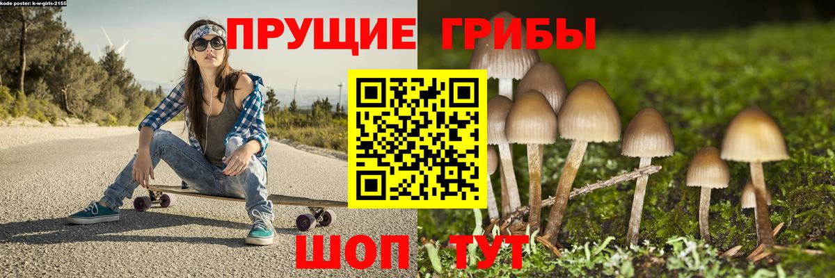 Галлюциногенные грибы Psilocybe Клинцы